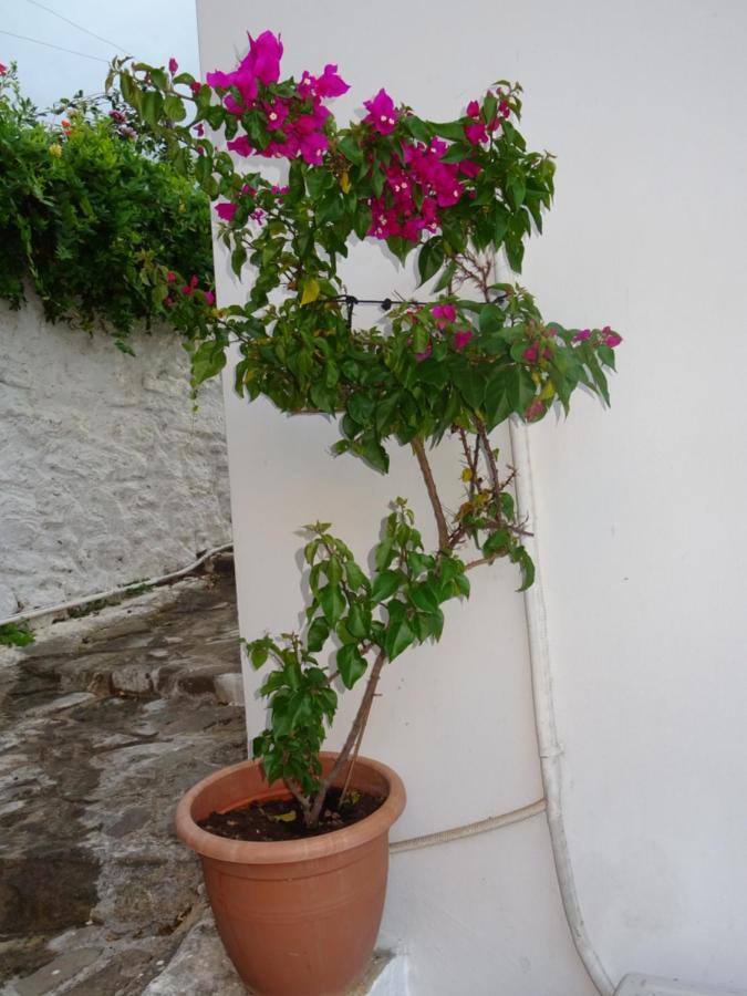 Fotis House Villa Koróni Екстериор снимка
