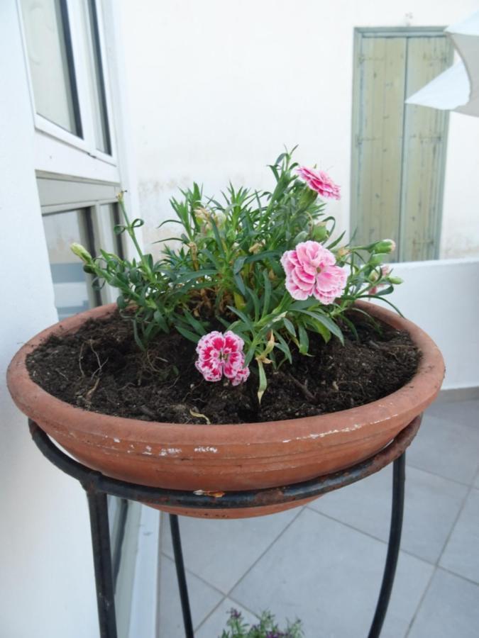Fotis House Villa Koróni Екстериор снимка